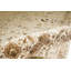 Walton Oriental Area Rug