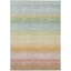 Tapis intérieur / extérieur lavable à la machine Jouett ACN2313-1713317015