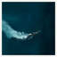 Diving Depths Print by Mat Sanders
