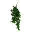 Hanging Plants X6 70cm Plant