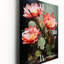 Cactus Ruby Blooms I - Horloge murale moderne Cactus-997777456