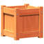 Ander Planter-1011546377-1011546372