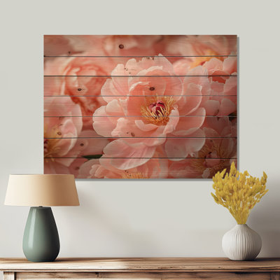 Photo Of Peonies Farmhouse At Sunset II - Peonies Wood Wall Decor - On Natural Pine Wood