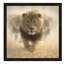Eat My Dust - Lion, Square by Collin Bogle - Floater Frame Print on Canvas-1149635990-1149635991