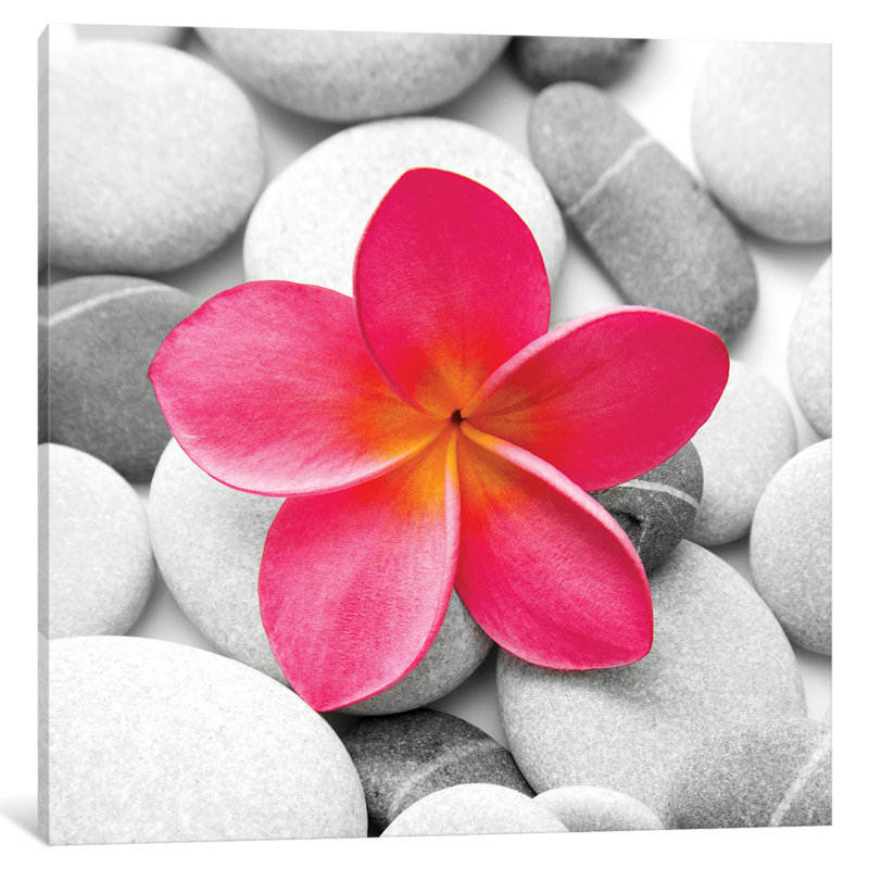 Fleur zen par PhotoINC Studio - Impression sur toile tendue sur châssis, H 37 po x l 37 po x P 1,5 po, Toile tendue