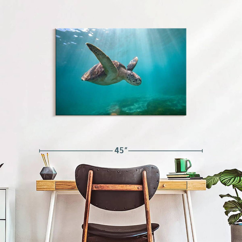 Tortue de mer Brampt Martinique, H 24 po x l 36 po