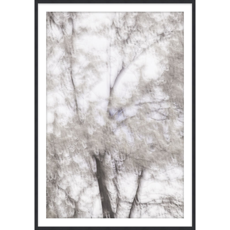 Ethereal 1 Print by Studio L57 Affinity, 27.5" H x 19.5" W