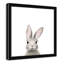 Art encadré en lapins forestières-48188938-48188939