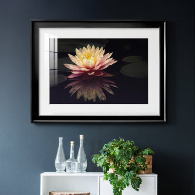 Photographie Étude de nénuphars, reproduction encadrée de qualité supérieure, prête à être accrochée
