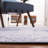 Ziebarth 193 M/W S/R Area Rug In Grey / Navy-1431305913