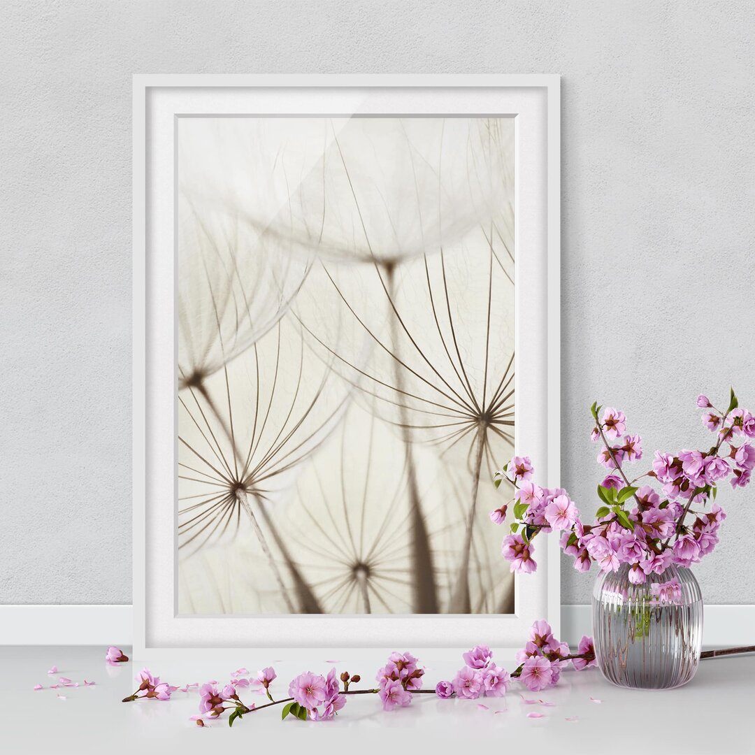 Gerahmtes Poster Soft Grasses