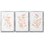 Blush Olive Anch I - ensemble de 3 reproductions de photos sur toile-97757244-97757241