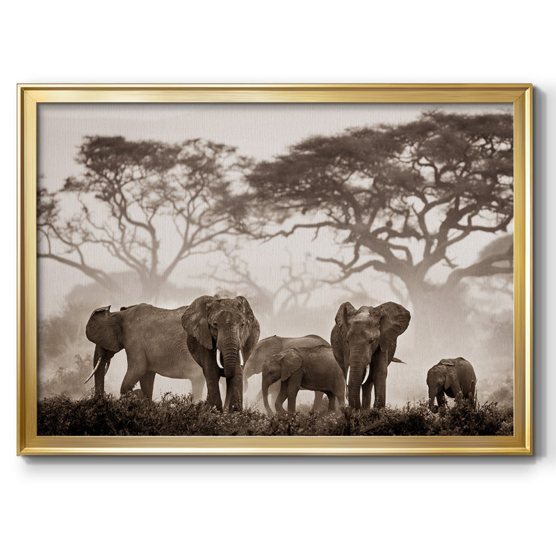 Amboseli National Park, reproduction d'art sur toile, H 30 po x l 44 po x P 1,5 po, Or