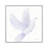 Easter Blessing Dove I by Kathleen Parr McKenna - Print on Canvas-1008239539-1008239537