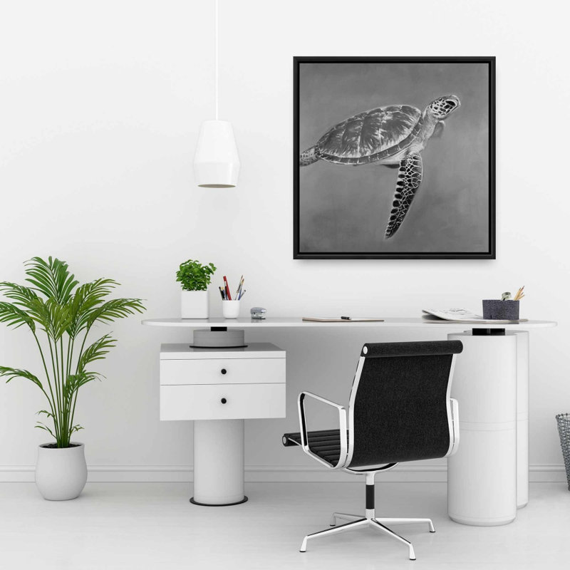 «Tortue aquatique en niveaux de gris»
