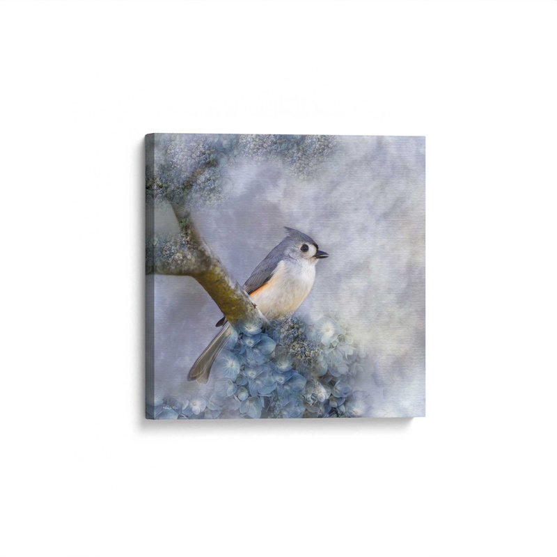 Reproduction d'art touffetée Titmouse I par Robin-Lee Vieira, Toile non encadrée, L 36 x H 36, Ne s’applique pas