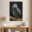 Brampt, perroquet gris du Congo-108358538
