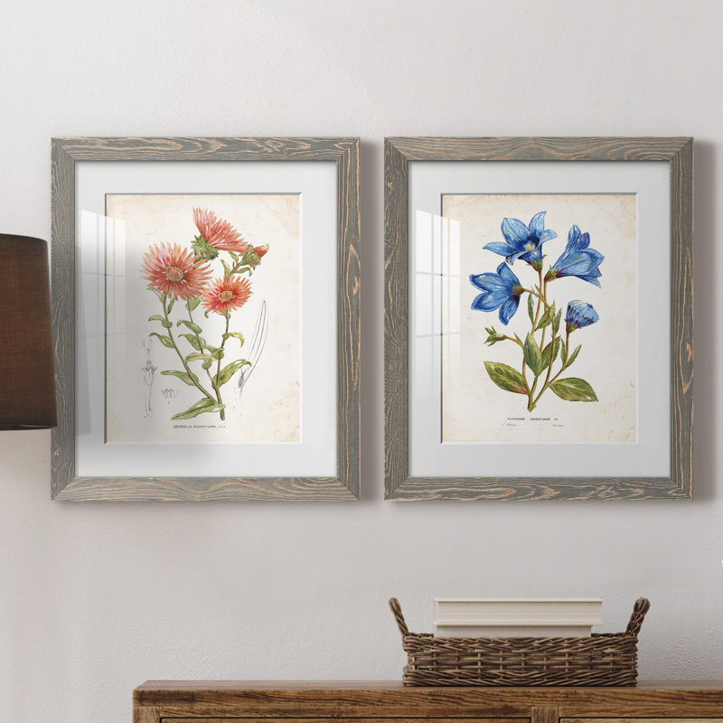 «Botanical I», ensemble de 2 reproductions d'art, Blanc, H 24 po x l 36 po x P 1,5 po, Cadre en papier gris