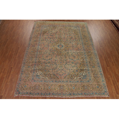 Traditional   Area Rug 10x13