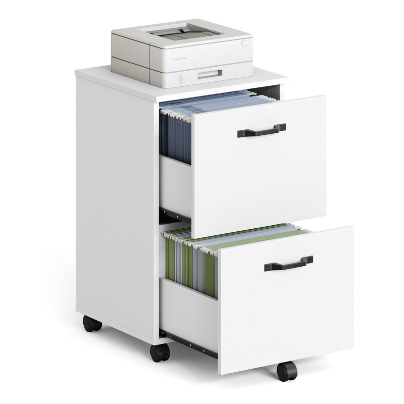 Franny 2 Drawer Filing Cabinet, White