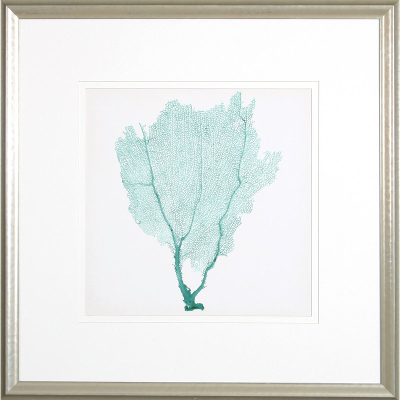 Sea Fan I Print by Vision
