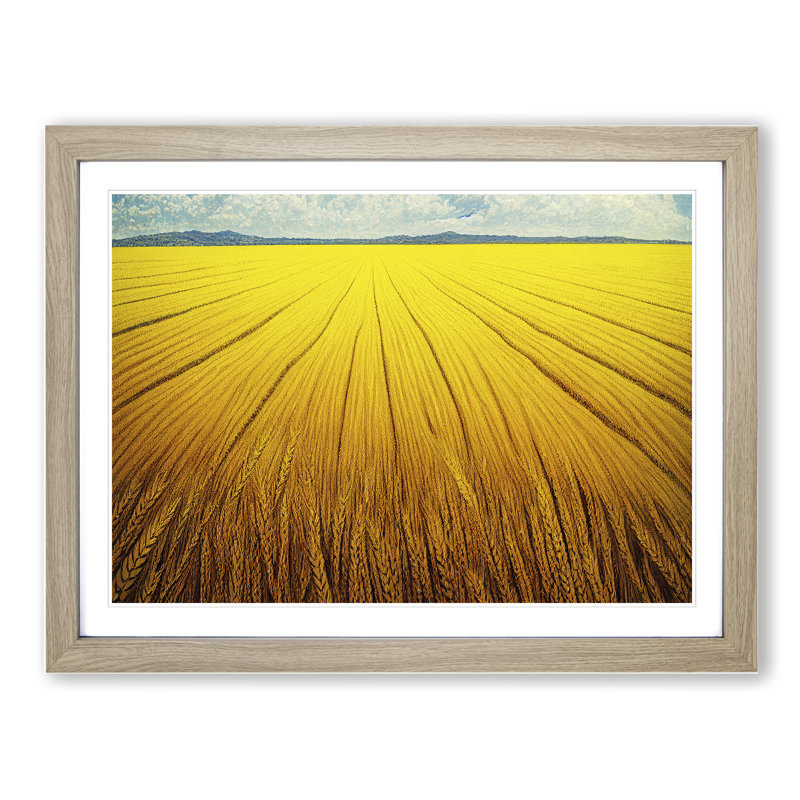 Contemporary Wheat Field - Framed Print, 34cm H x 46cm W x 2cm D, Oak