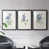 Black Framed