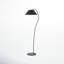 Phoenix 69'' Floor Lamp