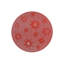 Napperon Pvc-2058871288
