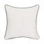 Lessonia Throw Pillow
