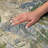 Premium Machine Washable Dream Shag ADS555 Abstract Fauna Rug-2011973812-2011973811