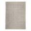 Area Rug in Silver