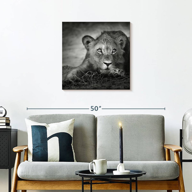 Brampt Young Lion Head