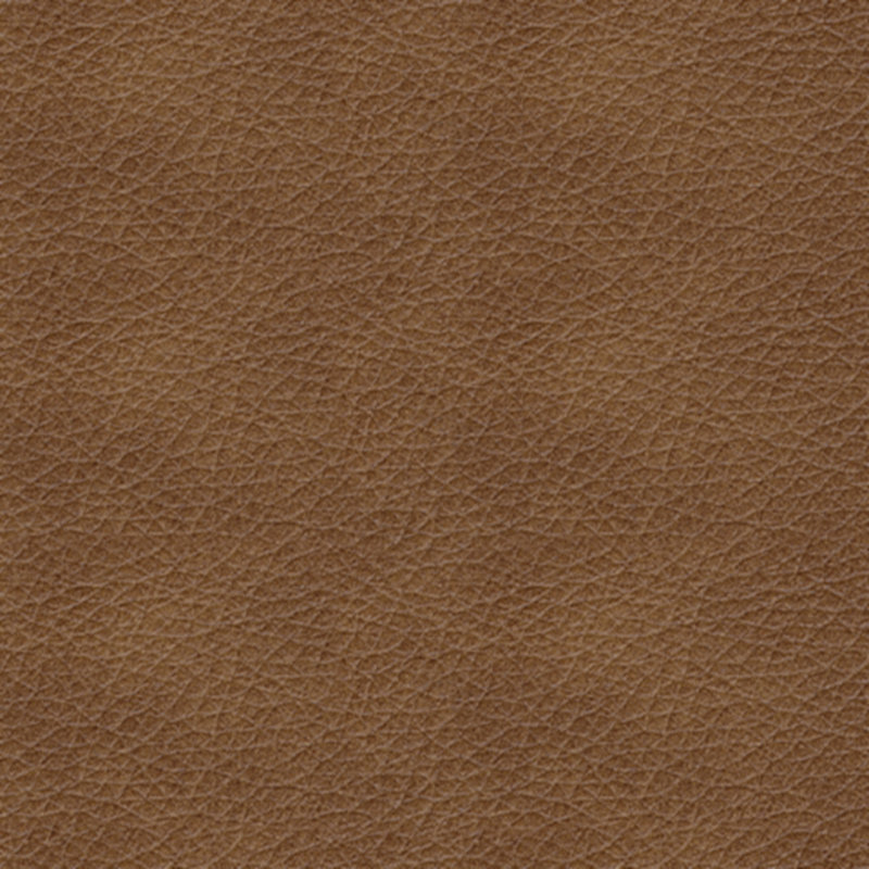 Caramel Leather Contemporary Rocker Recliner