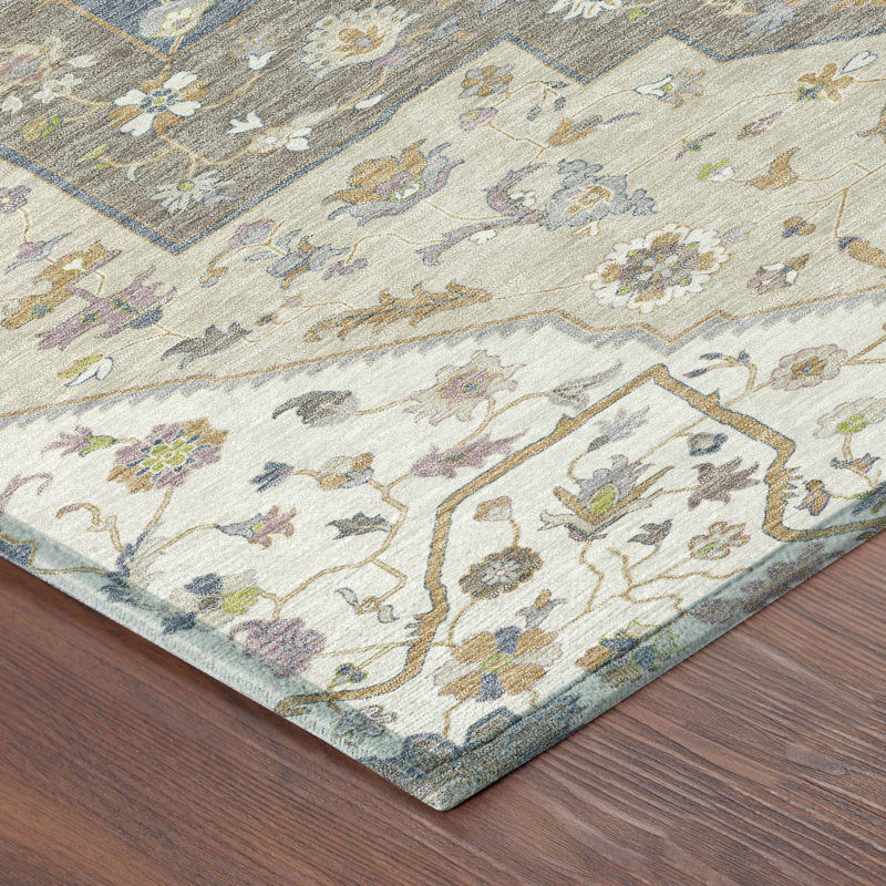 Machine Washable Indoor/Outdoor Chantille ACN2533 Traditional Rug, Rectangle 3' x 5', Ivory