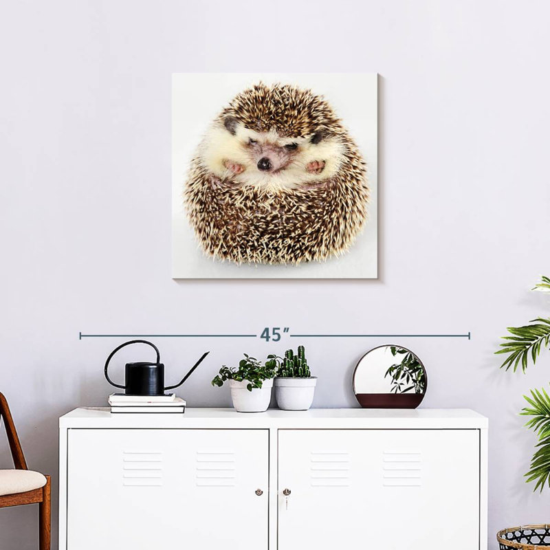 Crowle Curled Up Hedgehog, 24" H x 24" W