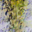 «Fields of Tulip with the Rijnsburg-Windmill 1886» par Claude Monet, reproduction d'art sur toile tendue encadrée
