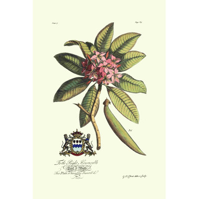 Royal Botanical V