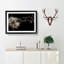 Dandelion Seeds in Flight in Abstract - Picture Frame Graphic Art Print-55679723-55679724