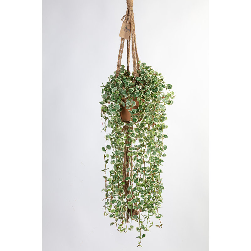100cm Faux Ficus Plant in Pot
