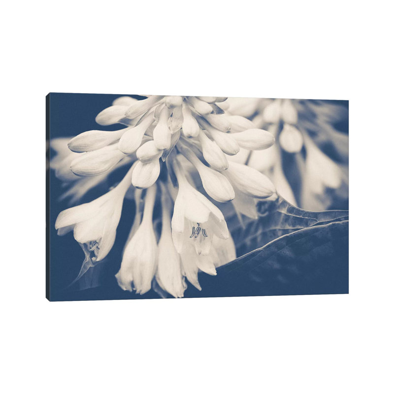 In The Morning by Olivia Joy StClaire - Wrapped Canvas Gallery-Wrapped Canvas Giclée, 66.04 cm H x 45.72 cm W x 3.175 cm D