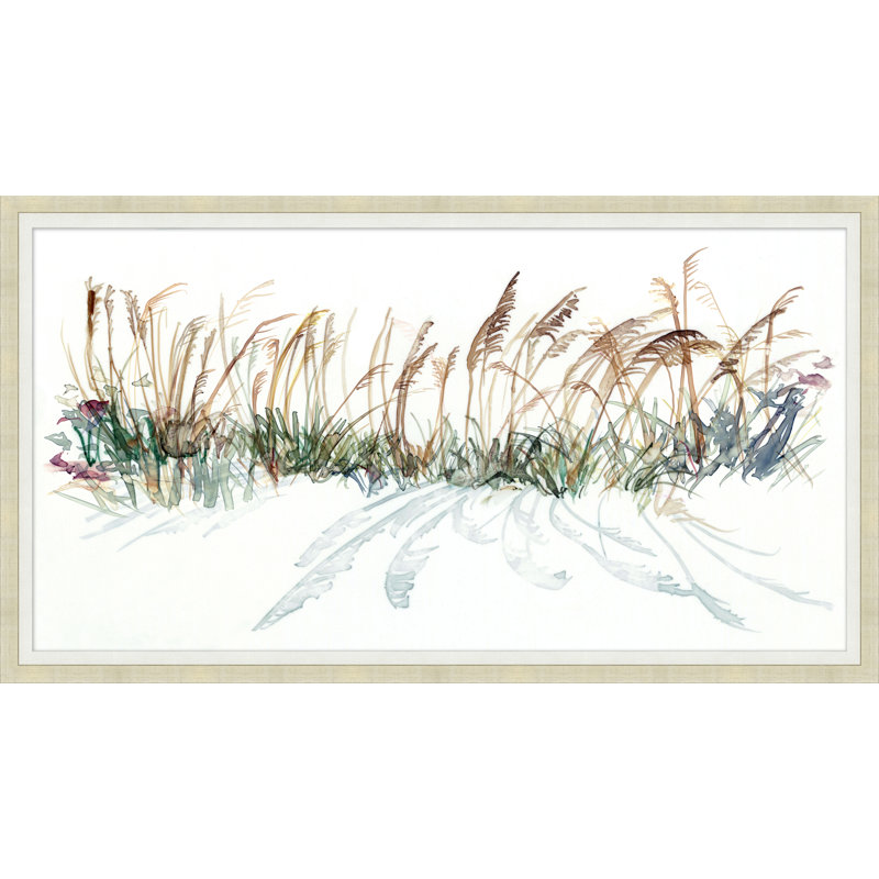 Sea Oats in the Wind - Peinture encadrée sur papier