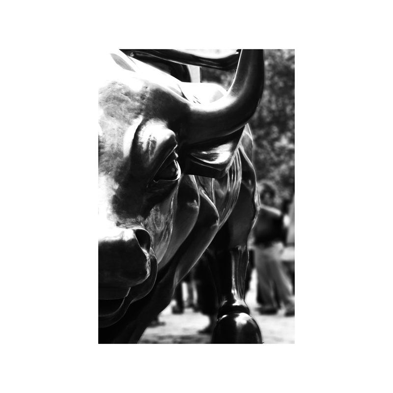 Wall Street Bull Close-up 1 Piece Wall Art on Canvas, 66.04 cm H x 45.72 cm W x 1.91 cm D, Wrapped Canvas