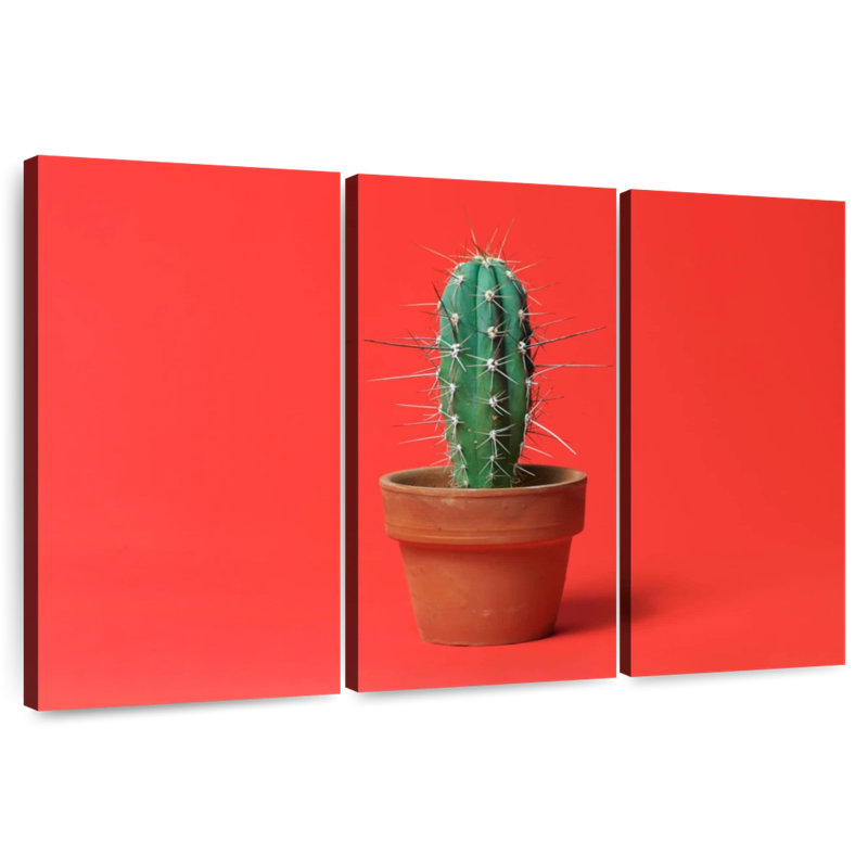 Cactus en pot Harnek, H 28 po x l 45 po