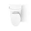 Veil™ One-Piece Elongated Dual-Flush Toilet with Skirted Trapway-101380487