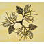 Luminaire suspendu 10 lumières Wildlife
