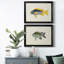 Collection de poissons tropicaux V - ensemble de 2 cadres photo-1972026863-1972026833