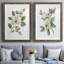 «Magnolia Morning I», reproduction encadrée de qualité supérieure - prête à être accrochée-152898349-152898337