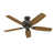 Bronze noble est en rupture de stock