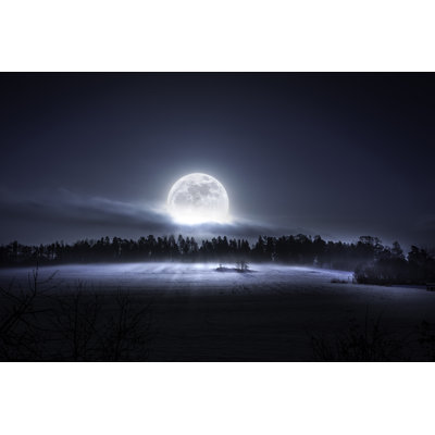 Here Comes The Moon - Wrapped Canvas Print